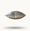 GOLDEN HOUR COLLECTION - SUNGLOW PILLOW COVER